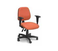 cadeira-diretor-ergonomica